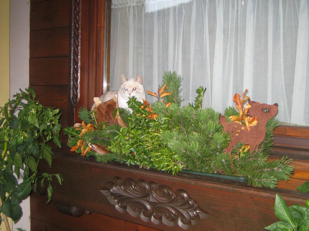 Haus Rosswiese Apartment Щробл Екстериор снимка
